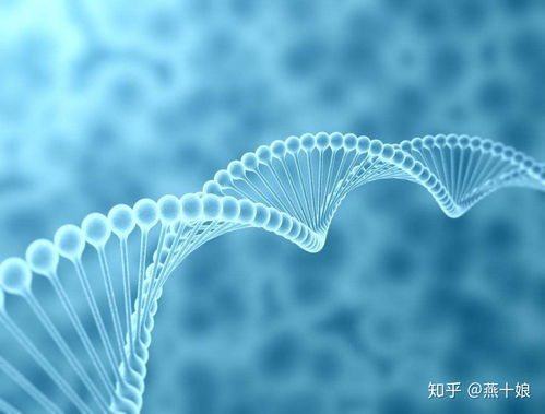 燕窩肽 生物科技賦能下的頂級護膚成分解密