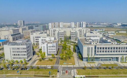 自主研發(fā)助力精準醫(yī)療 全國首款非小細胞肺癌新藥上市背后的寧波力量