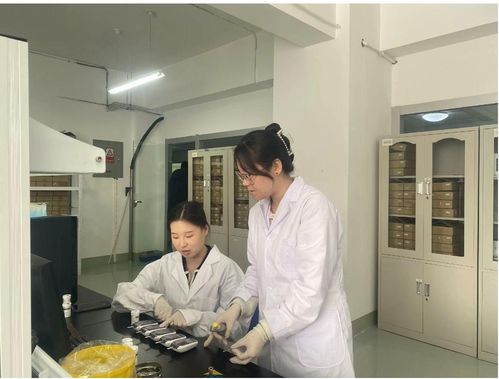 小巨人蘊含大能量 恒升醫(yī)學以科技創(chuàng)新賦能生物醫(yī)療產(chǎn)業(yè)高質量發(fā)展